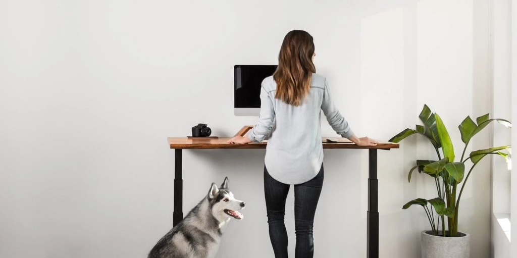 The best WFH sit-stand desk Ergonofis VS Uplift VS Fully