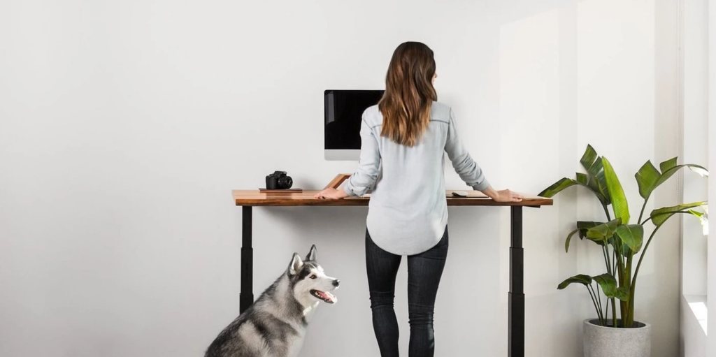 Are standing desks good for you The science of standing explained
